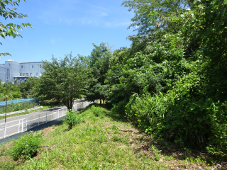 小山城（TNT211遺跡）の登城記録(dougenさん)
