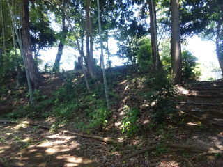 藍原氏館（粟飯原氏館）の登城記録(dougenさん)