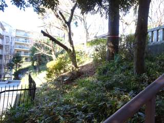 柴崎城（柴崎陣屋）の登城記録(dougenさん)