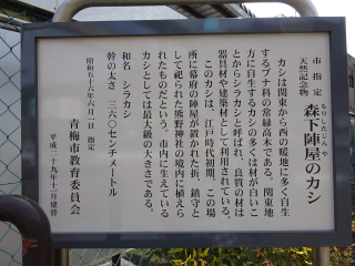 森下陣屋の登城記録(dougenさん)