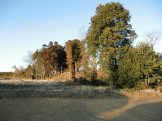 高坂館の登城記録(dougenさん)