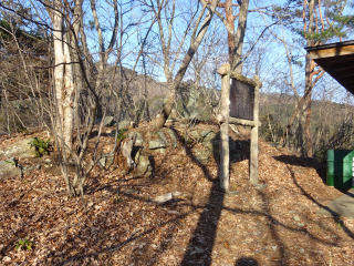 仲山城の登城記録(dougenさん)