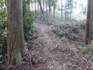根古屋城（竜谷城、勝楽寺城、横瀬根古屋城、机ノ城）の登城記録(dougenさん)