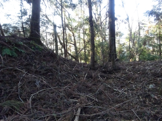 根古屋城（竜谷城、勝楽寺城、横瀬根古屋城、机ノ城）の登城記録(dougenさん)