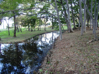 花崎城（花崎遺跡）の登城記録(dougenさん)