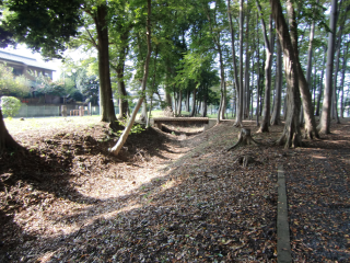花崎城（花崎遺跡）の登城記録(dougenさん)