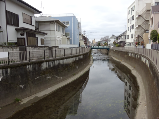 上荻窪城山（丸山・出丸）の登城記録(dougenさん)