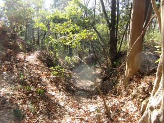 花園城の登城記録(dougenさん)