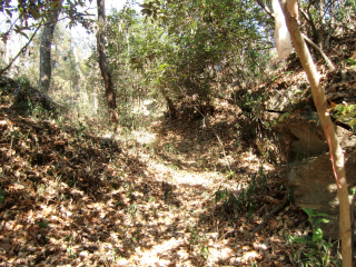花園城の登城記録(dougenさん)