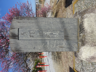 羽生城の登城記録(dougenさん)