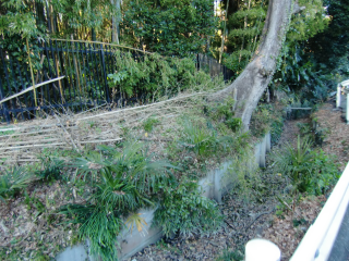 源範頼館（吉見御所）の登城記録(dougenさん)