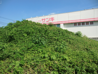 山口城（児泉城）の登城記録(dougenさん)