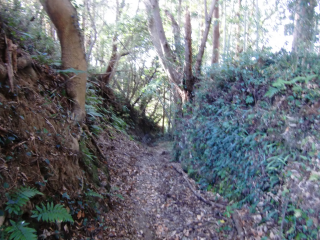 稲村城の登城記録(dougenさん)