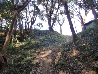 稲村城の登城記録(dougenさん)