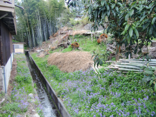 引田城（志村肥前守館）の登城記録(dougenさん)