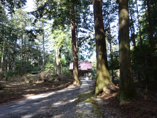 浜竹柵の登城記録(dougenさん)