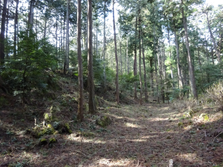 浜竹柵の登城記録(dougenさん)
