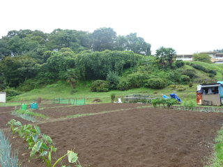 道心屋敷の登城記録(dougenさん)