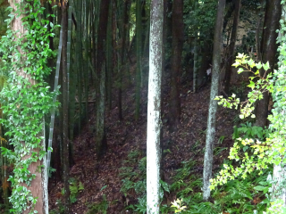 和田左京亮屋敷の登城記録(dougenさん)