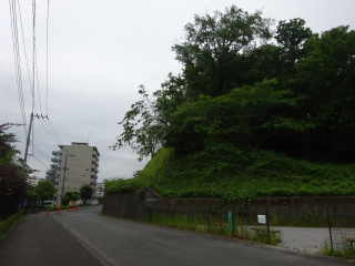 大名屋敷の登城記録(dougenさん)