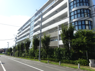 御幣山城（御幣山砦、大谷氏館、大谷城）の登城記録(dougenさん)