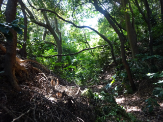 荒井城（荒井館）の登城記録(dougenさん)