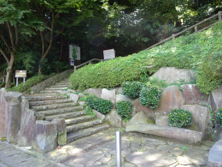 荒井城（荒井館）の登城記録(dougenさん)