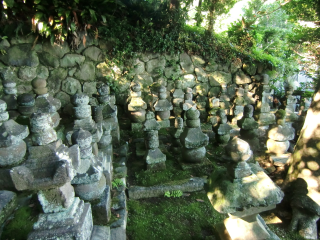 土肥館（土肥氏館、土肥次郎実平館）の登城記録(dougenさん)