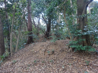 二伝寺砦の登城記録(dougenさん)