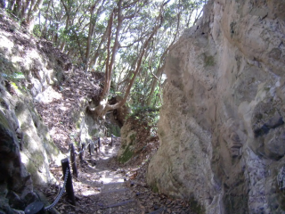 白浜城の登城記録(dougenさん)