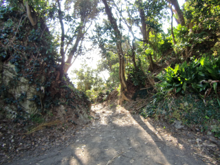 岡本城の登城記録(dougenさん)