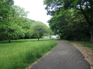 大曾根城（大曽根城）の登城記録(dougenさん)