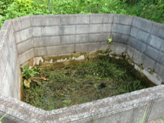 万喜城（万木城）の登城記録(dougenさん)