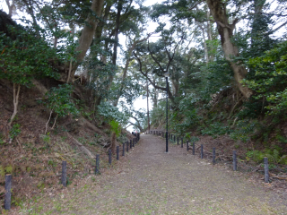 掛川古城の登城記録(dougenさん)