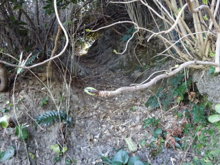 小浜城の登城記録(dougenさん)