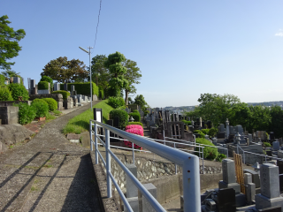 川和城（川和城塁、川和城山）の登城記録(dougenさん)