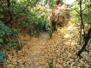 土井谷砦の登城記録(dougenさん)