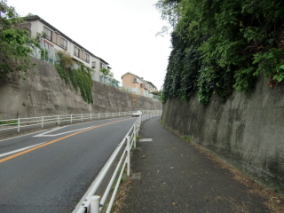 白井織部是房屋敷（白井氏館、座間城、白井織部是房館）の登城記録(dougenさん)