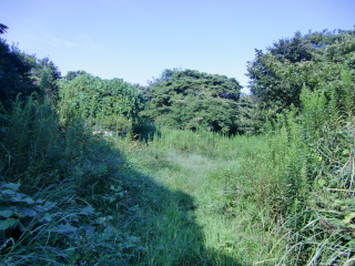 王城山城（天王山城）の登城記録(dougenさん)