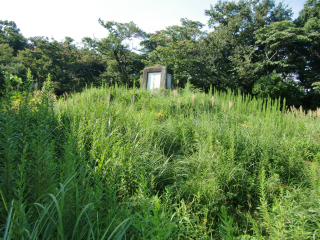 王城山城（天王山城）の登城記録(dougenさん)