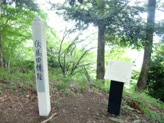 伏馬田城（尾崎城・菅井城）の登城記録(dougenさん)