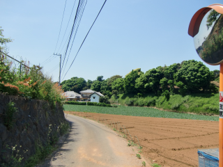 和田城（和田義盛館）の登城記録(dougenさん)