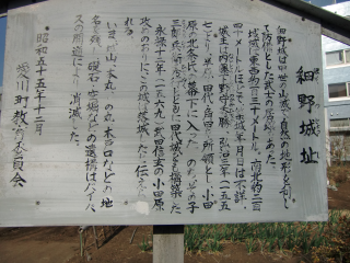 細野城（網野城）の登城記録(dougenさん)