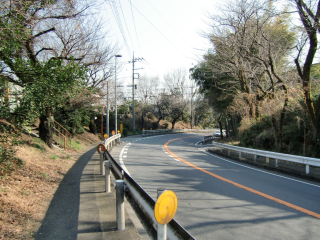 細野城（網野城）の登城記録(dougenさん)