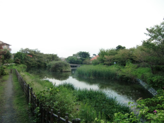 今泉堀ノ内（今泉堀之内、今泉城、今泉館）の登城記録(dougenさん)