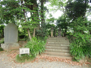 東田原中丸館（東田原城、東田原中丸遺跡・波多野忠綱館）の登城記録(dougenさん)