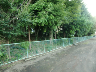 浄円寺囲郭（浄円寺館）の登城記録(dougenさん)