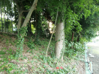 浄円寺囲郭（浄円寺館）の登城記録(dougenさん)