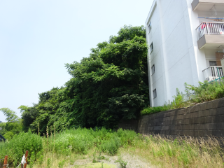 小矢部城の登城記録(dougenさん)