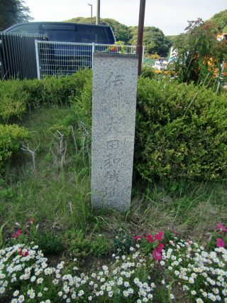 大多和城（矢城山、大田和城）の登城記録(dougenさん)